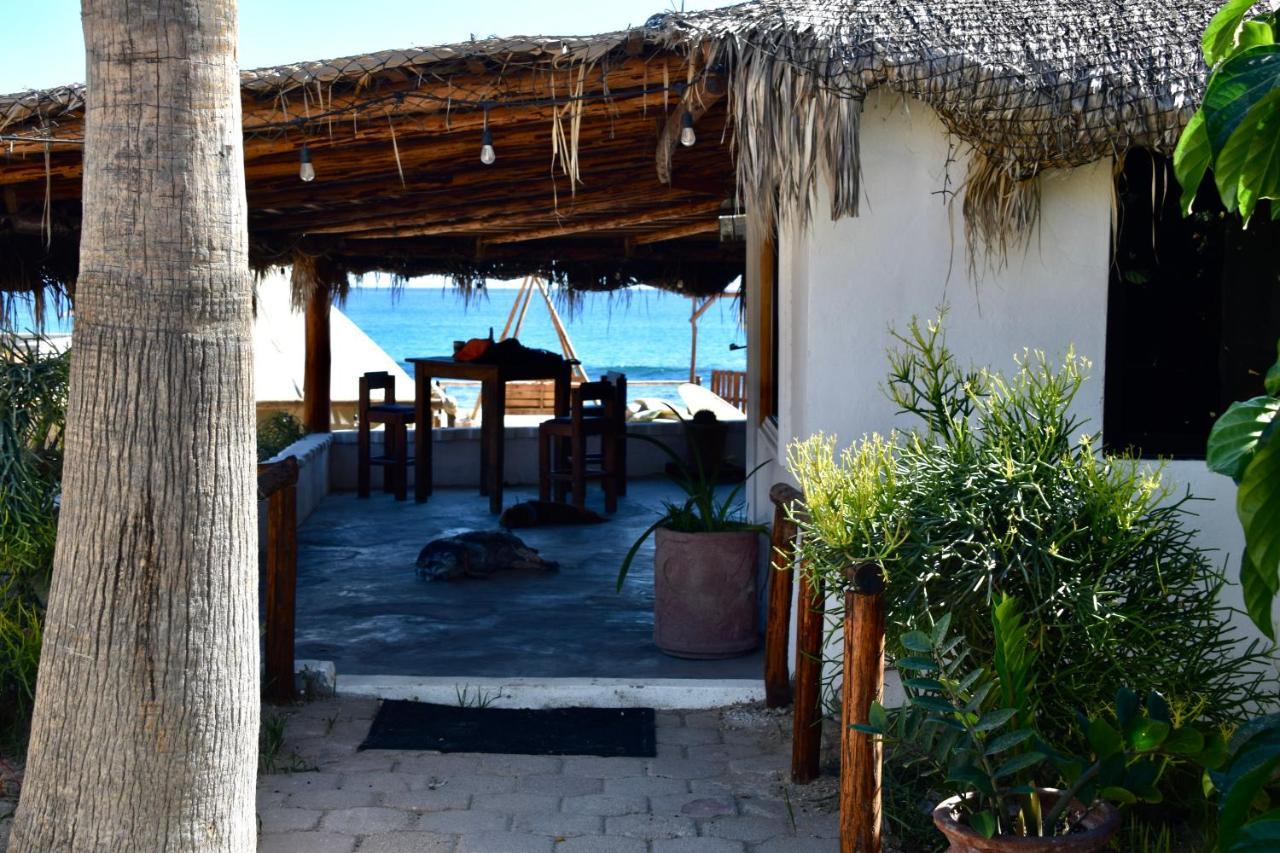 Rustico Lounge - Property In Front Of The Beach San Jose del Cabo Exterior photo